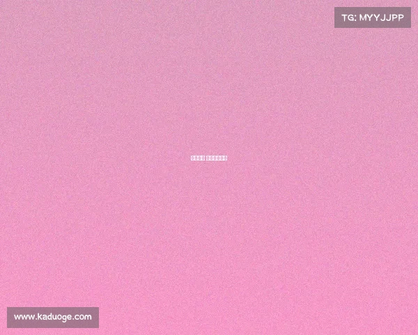 焦点赛事 新、焦点大战