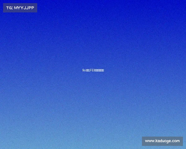 fei赛事;FEI赛事监管格言